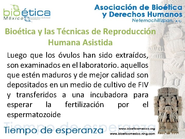 Bioética y las Técnicas de Reproducción Humana Asistida Luego que los óvulos han sido