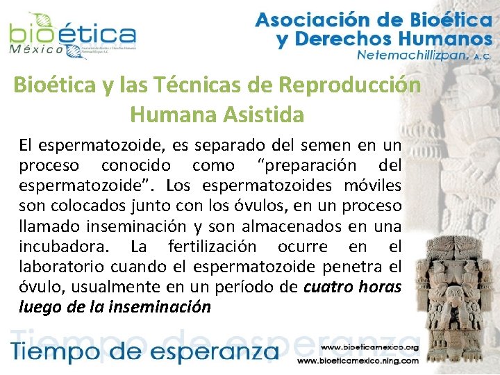 Bioética y las Técnicas de Reproducción Humana Asistida El espermatozoide, es separado del semen