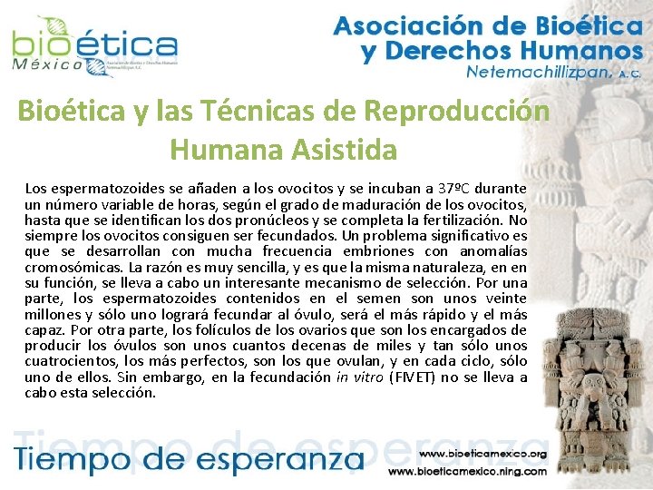 Bioética y las Técnicas de Reproducción Humana Asistida Los espermatozoides se añaden a los