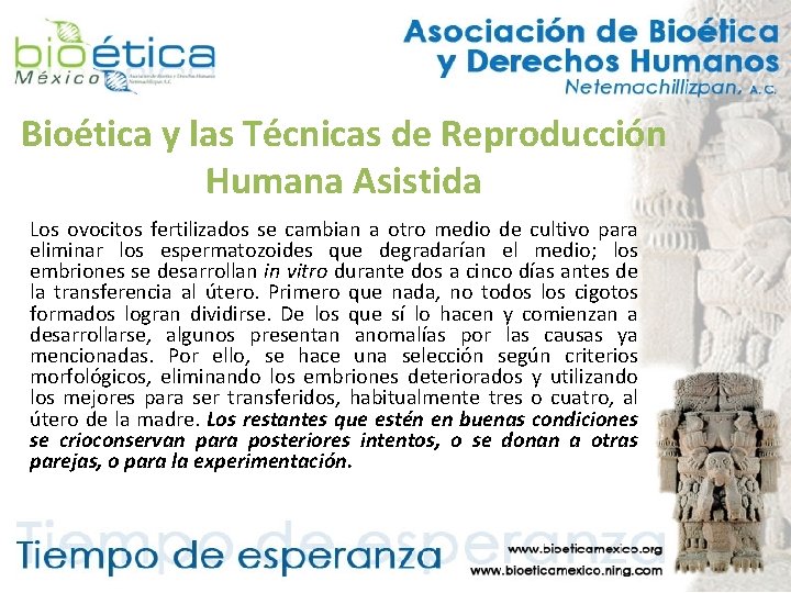 Bioética y las Técnicas de Reproducción Humana Asistida Los ovocitos fertilizados se cambian a