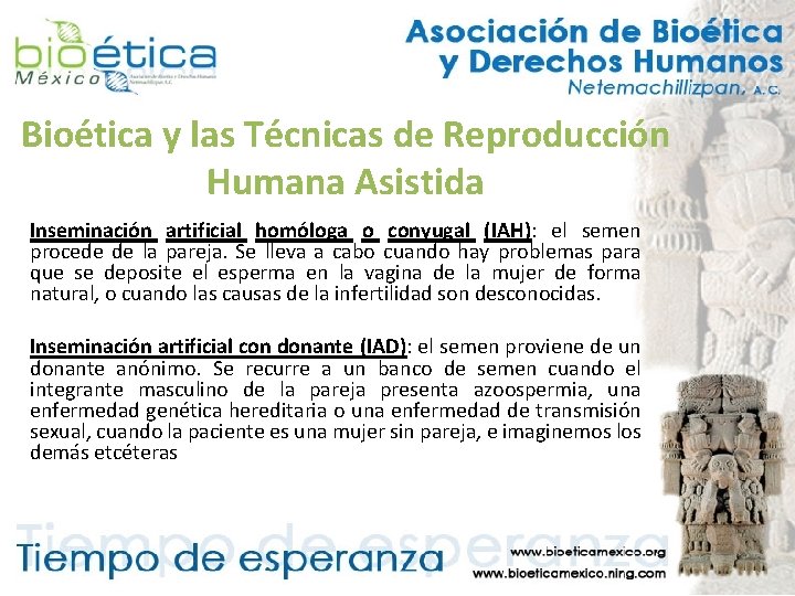 Bioética y las Técnicas de Reproducción Humana Asistida Inseminación artificial homóloga o conyugal (IAH):