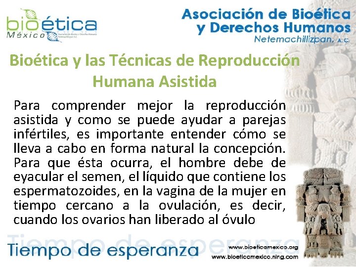 Bioética y las Técnicas de Reproducción Humana Asistida Para comprender mejor la reproducción asistida