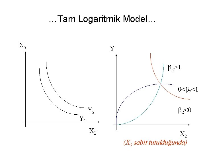 …Tam Logaritmik Model… X 3 Y b 2>1 0<b 2<1 Y 2 X 2
