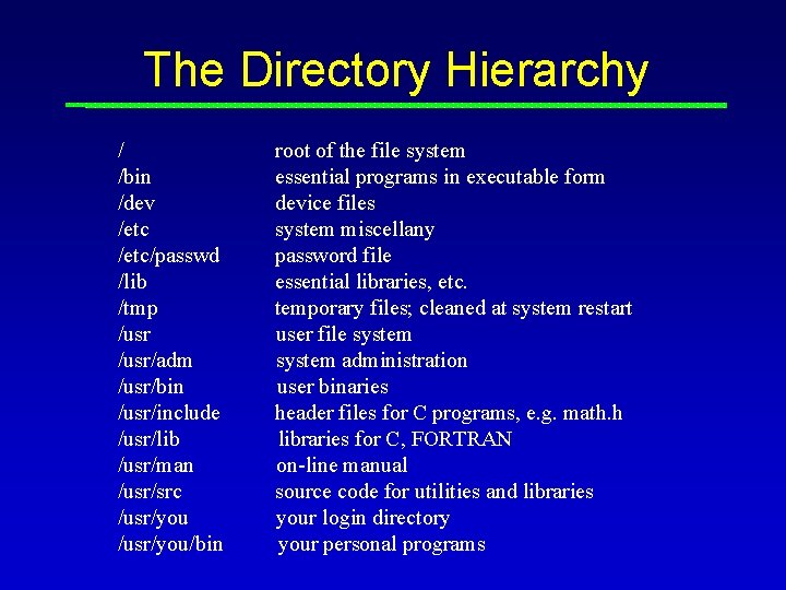 The Directory Hierarchy / /bin /dev /etc/passwd /lib /tmp /usr/adm /usr/bin /usr/include /usr/lib /usr/man