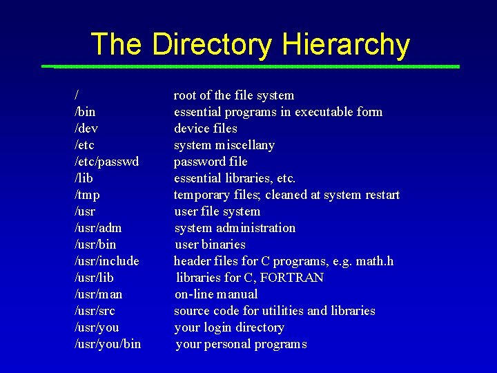 The Directory Hierarchy / /bin /dev /etc/passwd /lib /tmp /usr/adm /usr/bin /usr/include /usr/lib /usr/man The Directory Hierarchy / /bin /dev /etc/passwd /lib /tmp /usr/adm /usr/bin /usr/include /usr/lib /usr/man