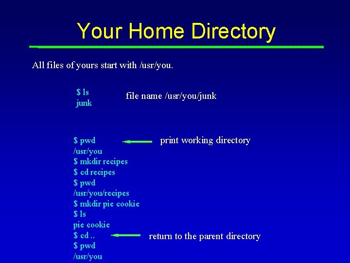 Your Home Directory All files of yours start with /usr/you. $ ls junk file