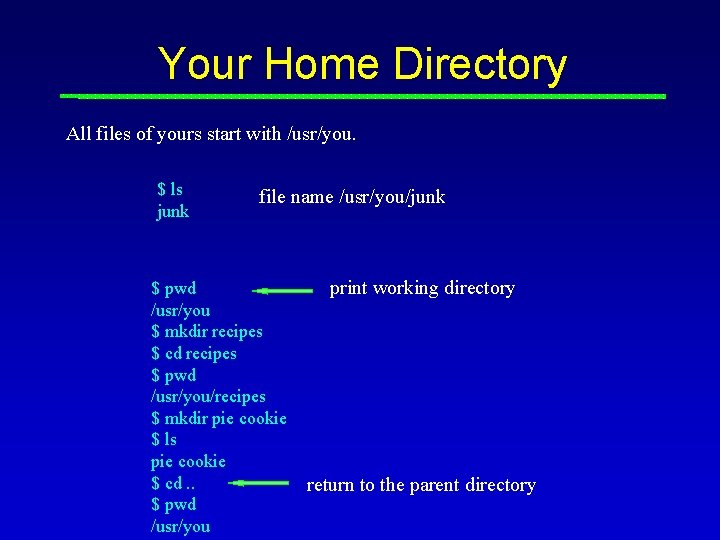 Your Home Directory All files of yours start with /usr/you. $ ls junk file Your Home Directory All files of yours start with /usr/you. $ ls junk file