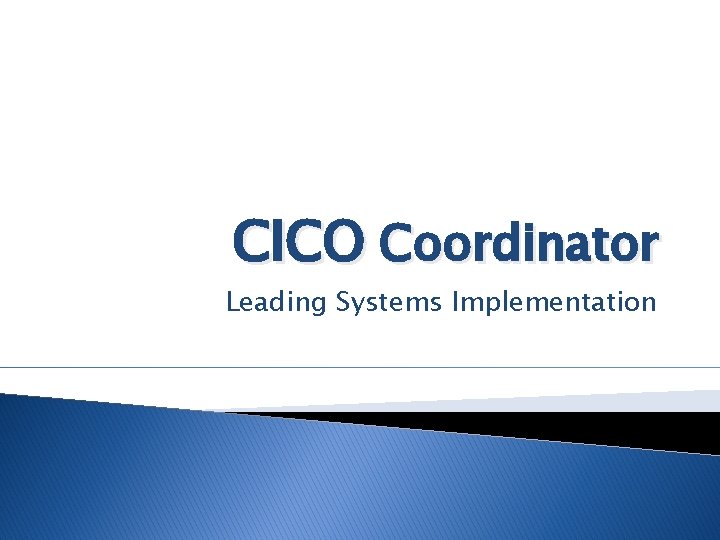 CICO Coordinator Leading Systems Implementation 