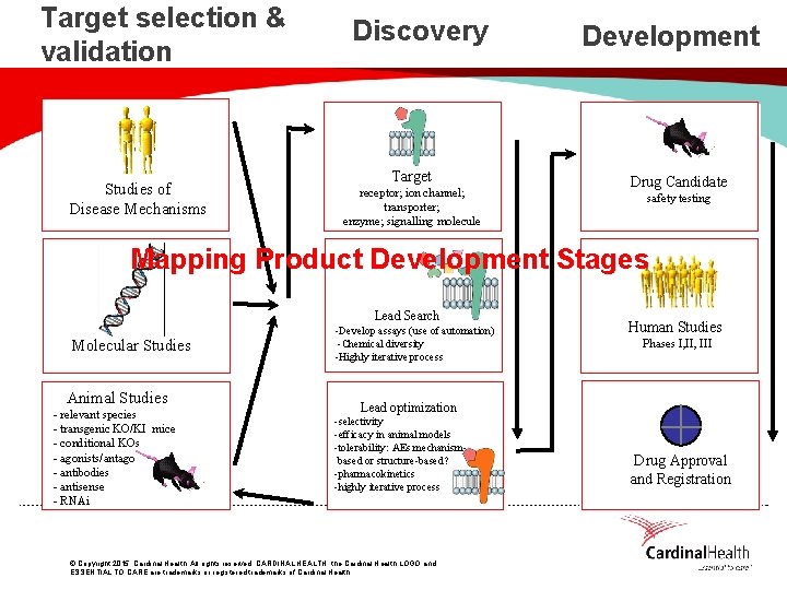 Target selection & validation Studies of Disease Mechanisms Discovery Target receptor; ion channel; transporter;
