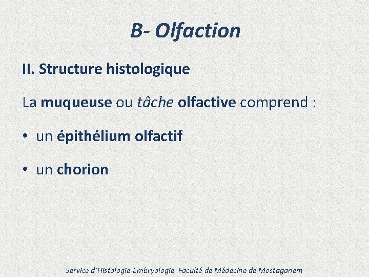 B- Olfaction II. Structure histologique La muqueuse ou tâche olfactive comprend : • un