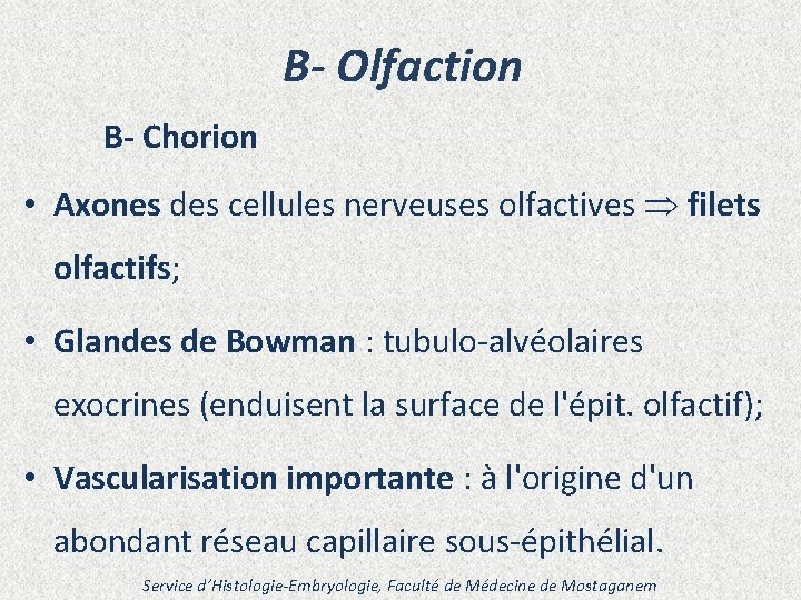 B- Olfaction B- Chorion • Axones des cellules nerveuses olfactives filets olfactifs; • Glandes