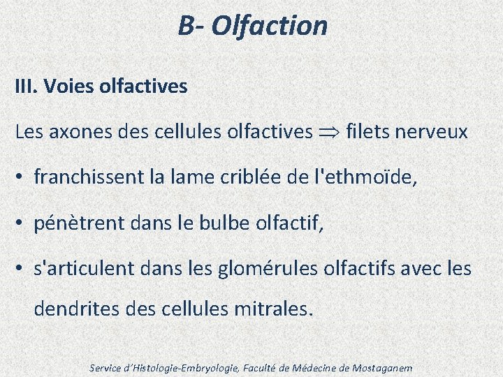 B- Olfaction III. Voies olfactives Les axones des cellules olfactives filets nerveux • franchissent