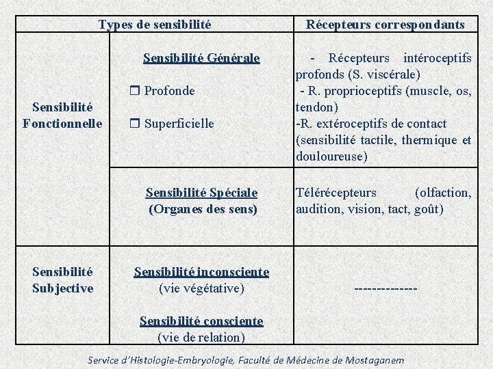 Types de sensibilité Sensibilité Générale Profonde Sensibilité Fonctionnelle Sensibilité Subjective Superficielle Récepteurs correspondants -