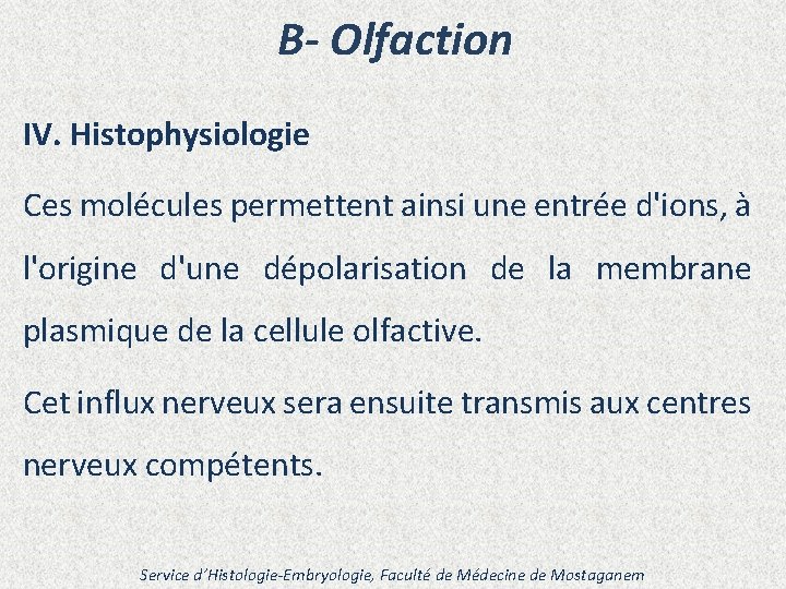 B- Olfaction IV. Histophysiologie Ces molécules permettent ainsi une entrée d'ions, à l'origine d'une