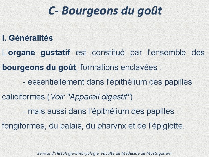 C- Bourgeons du goût I. Généralités L'organe gustatif est constitué par l'ensemble des bourgeons