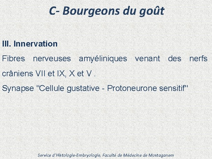 C- Bourgeons du goût III. Innervation Fibres nerveuses amyéliniques venant des nerfs crâniens VII