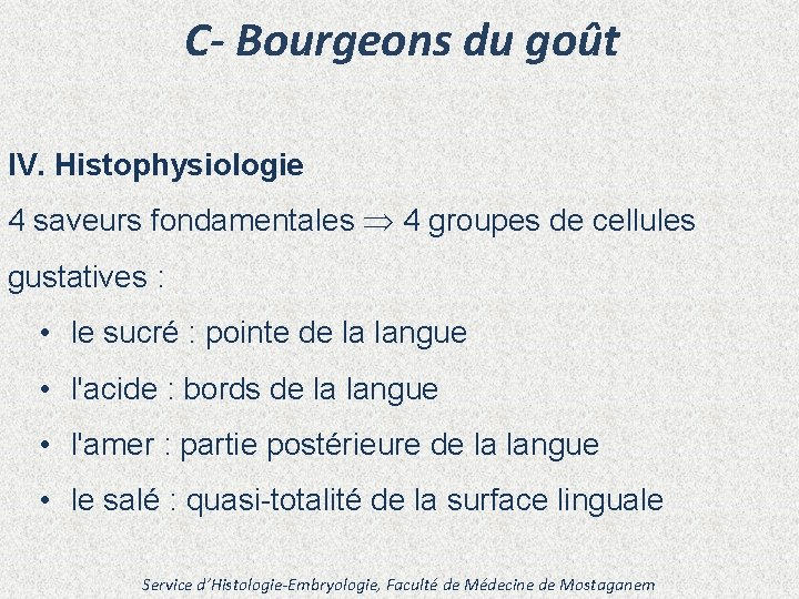 C- Bourgeons du goût IV. Histophysiologie 4 saveurs fondamentales 4 groupes de cellules gustatives