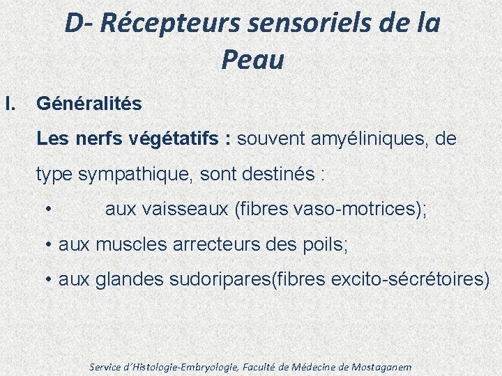 D- Récepteurs sensoriels de la Peau I. Généralités Les nerfs végétatifs : souvent amyéliniques,