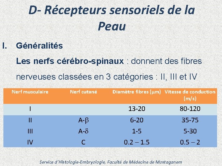 D- Récepteurs sensoriels de la Peau I. Généralités Les nerfs cérébro-spinaux : donnent des