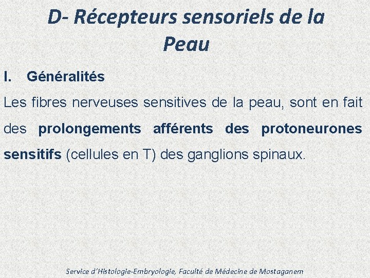 D- Récepteurs sensoriels de la Peau I. Généralités Les fibres nerveuses sensitives de la