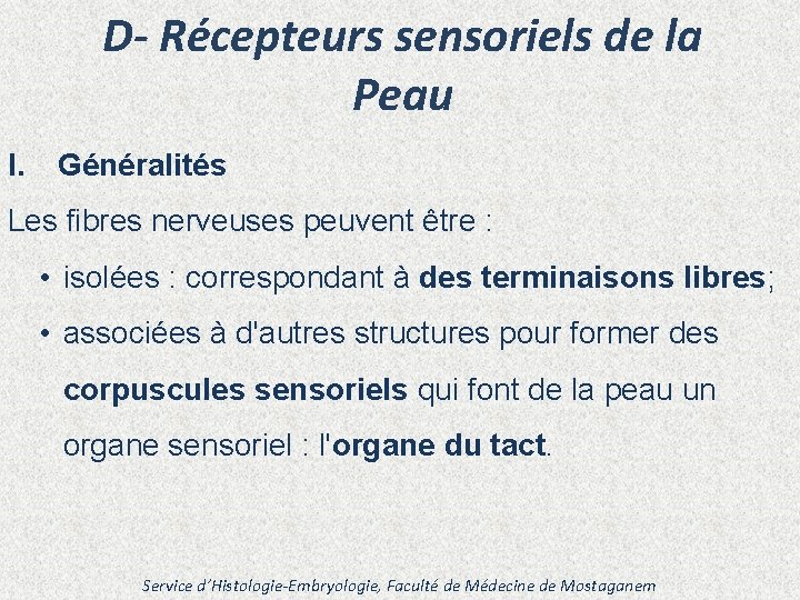 D- Récepteurs sensoriels de la Peau I. Généralités Les fibres nerveuses peuvent être :