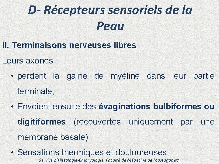 D- Récepteurs sensoriels de la Peau II. Terminaisons nerveuses libres Leurs axones : •