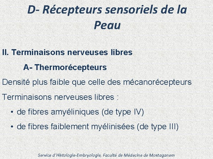 D- Récepteurs sensoriels de la Peau II. Terminaisons nerveuses libres A- Thermorécepteurs Densité plus