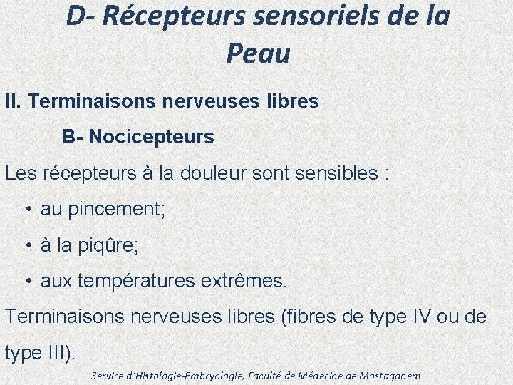 D- Récepteurs sensoriels de la Peau II. Terminaisons nerveuses libres B- Nocicepteurs Les récepteurs