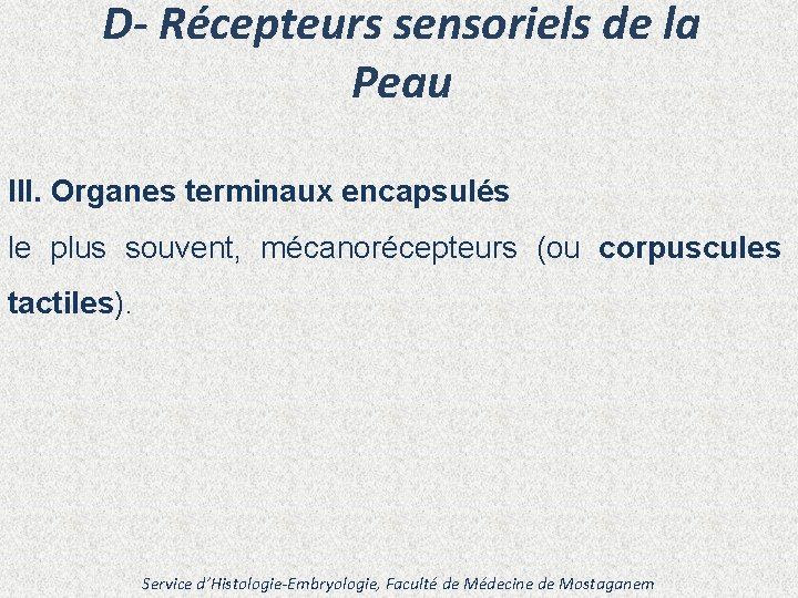 D- Récepteurs sensoriels de la Peau III. Organes terminaux encapsulés le plus souvent, mécanorécepteurs