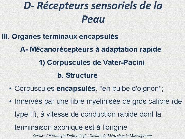 D- Récepteurs sensoriels de la Peau III. Organes terminaux encapsulés A- Mécanorécepteurs à adaptation