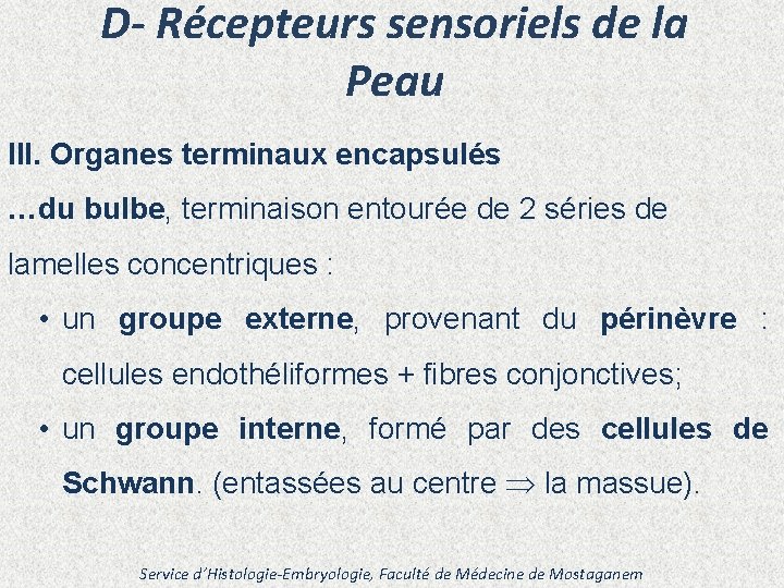 D- Récepteurs sensoriels de la Peau III. Organes terminaux encapsulés …du bulbe, terminaison entourée