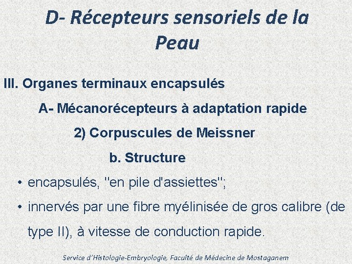 D- Récepteurs sensoriels de la Peau III. Organes terminaux encapsulés A- Mécanorécepteurs à adaptation