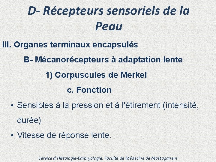 D- Récepteurs sensoriels de la Peau III. Organes terminaux encapsulés B- Mécanorécepteurs à adaptation