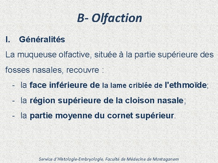 B- Olfaction I. Généralités La muqueuse olfactive, située à la partie supérieure des fosses