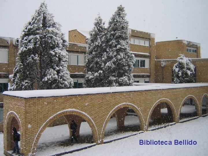 Biblioteca Bellido 