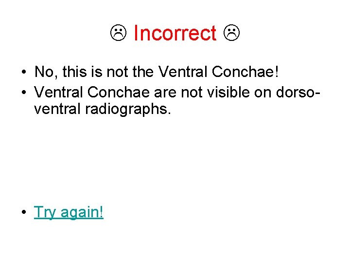  Incorrect • No, this is not the Ventral Conchae! • Ventral Conchae are