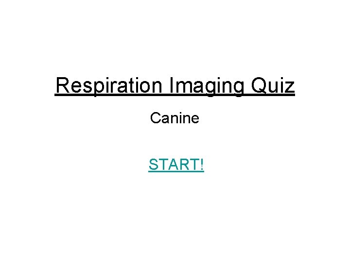 Respiration Imaging Quiz Canine START! 