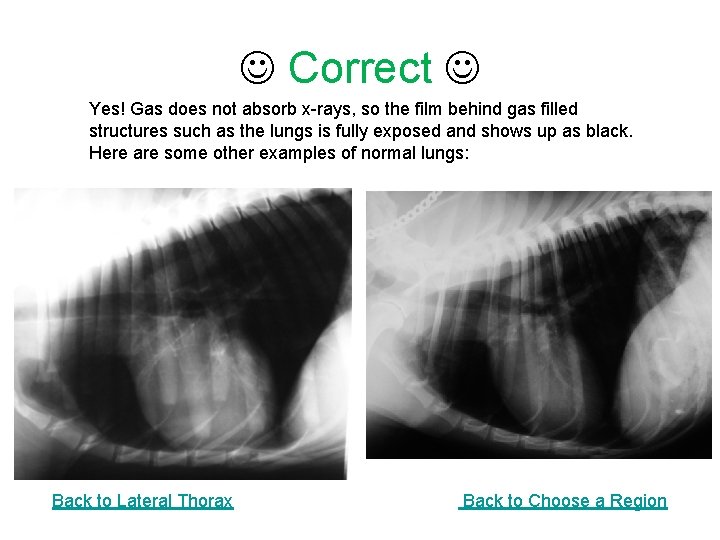  Correct Yes! Gas does not absorb x-rays, so the film behind gas filled