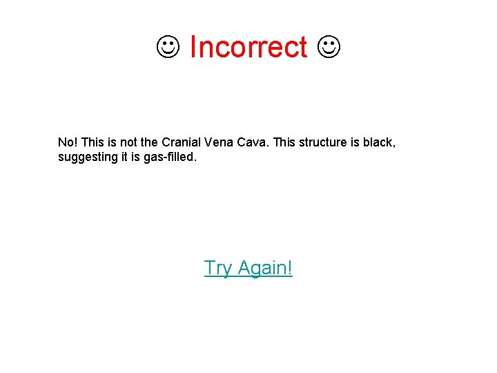  Incorrect No! This is not the Cranial Vena Cava. This structure is black,