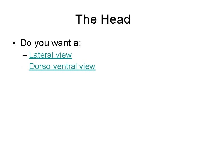 The Head • Do you want a: – Lateral view – Dorso-ventral view 