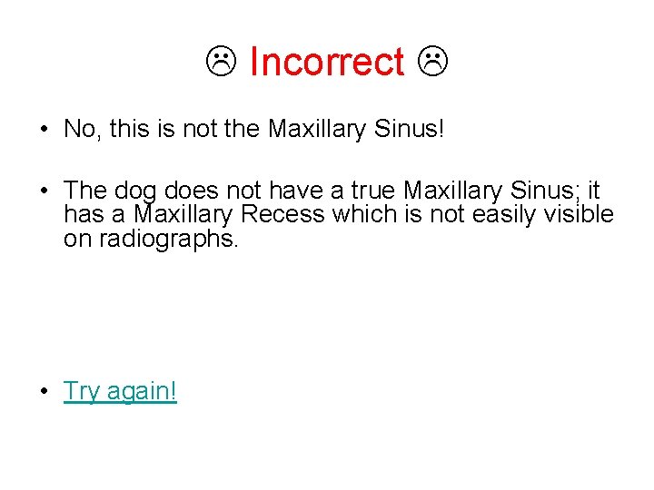  Incorrect • No, this is not the Maxillary Sinus! • The dog does