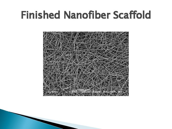 Finished Nanofiber Scaffold 