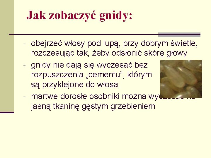 Jak zobaczyć gnidy: - obejrzeć włosy pod lupą, przy dobrym świetle, rozczesując tak, żeby