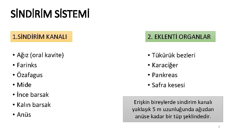 SİNDİRİM SİSTEMİ 1. SİNDİRİM KANALI 2. EKLENTİ ORGANLAR • Ağız (oral kavite) • Farinks