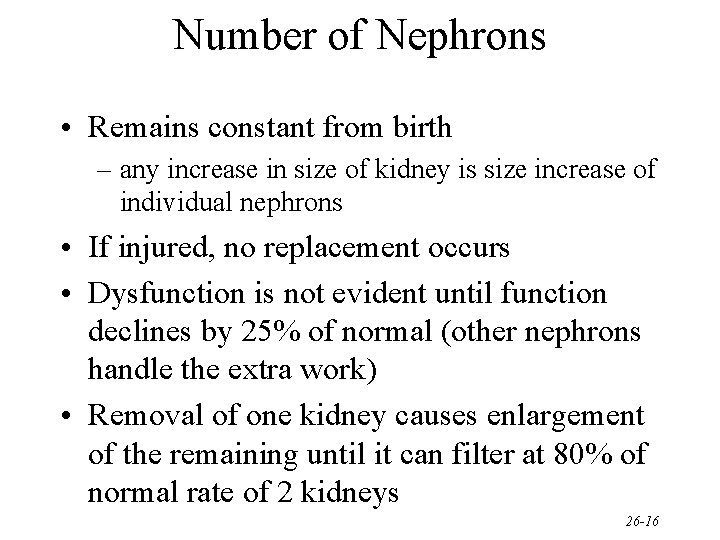 Number of Nephrons • Remains constant from birth – any increase in size of