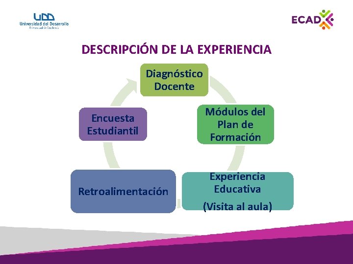 DESCRIPCIÓN DE LA EXPERIENCIA Diagnóstico Docente Encuesta Estudiantil Retroalimentación Módulos del Plan de Formación