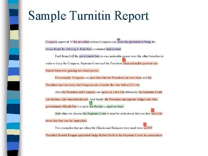 Sample Turnitin Report 