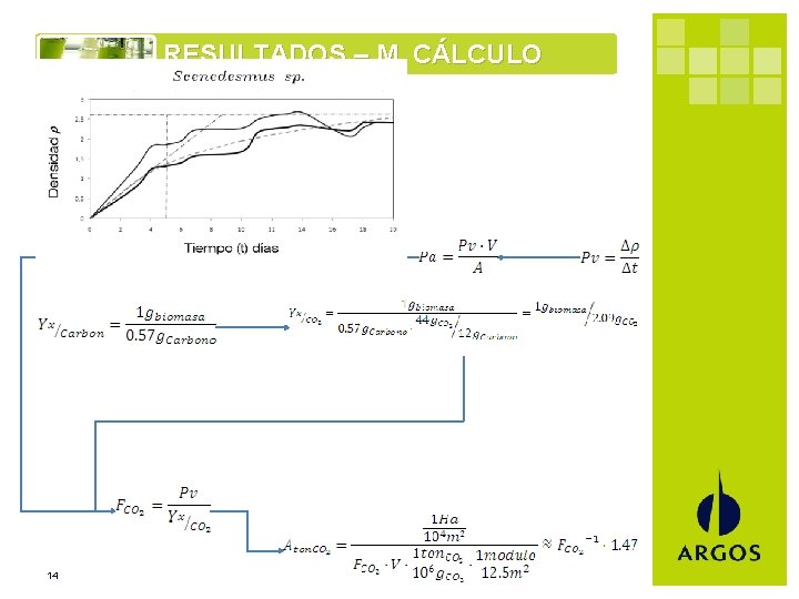 RESULTADOS – M. CÁLCULO 14 