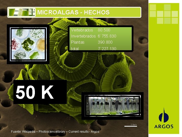 MICROALGAS - HECHOS Vertebrados 80. 500 Invertebrados 6´ 755. 830 Plantas 390. 800 total