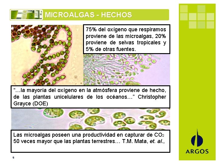 MICROALGAS - HECHOS 75% del oxígeno que respiramos proviene de las microalgas, 20% proviene